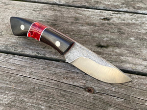 Custom Hand Made 6 3/4 inch Fixed Blade with Ebony and red  segmented Handles