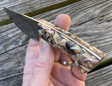 Load image into Gallery viewer, Shark Knife with fossil shark teeth cast handles