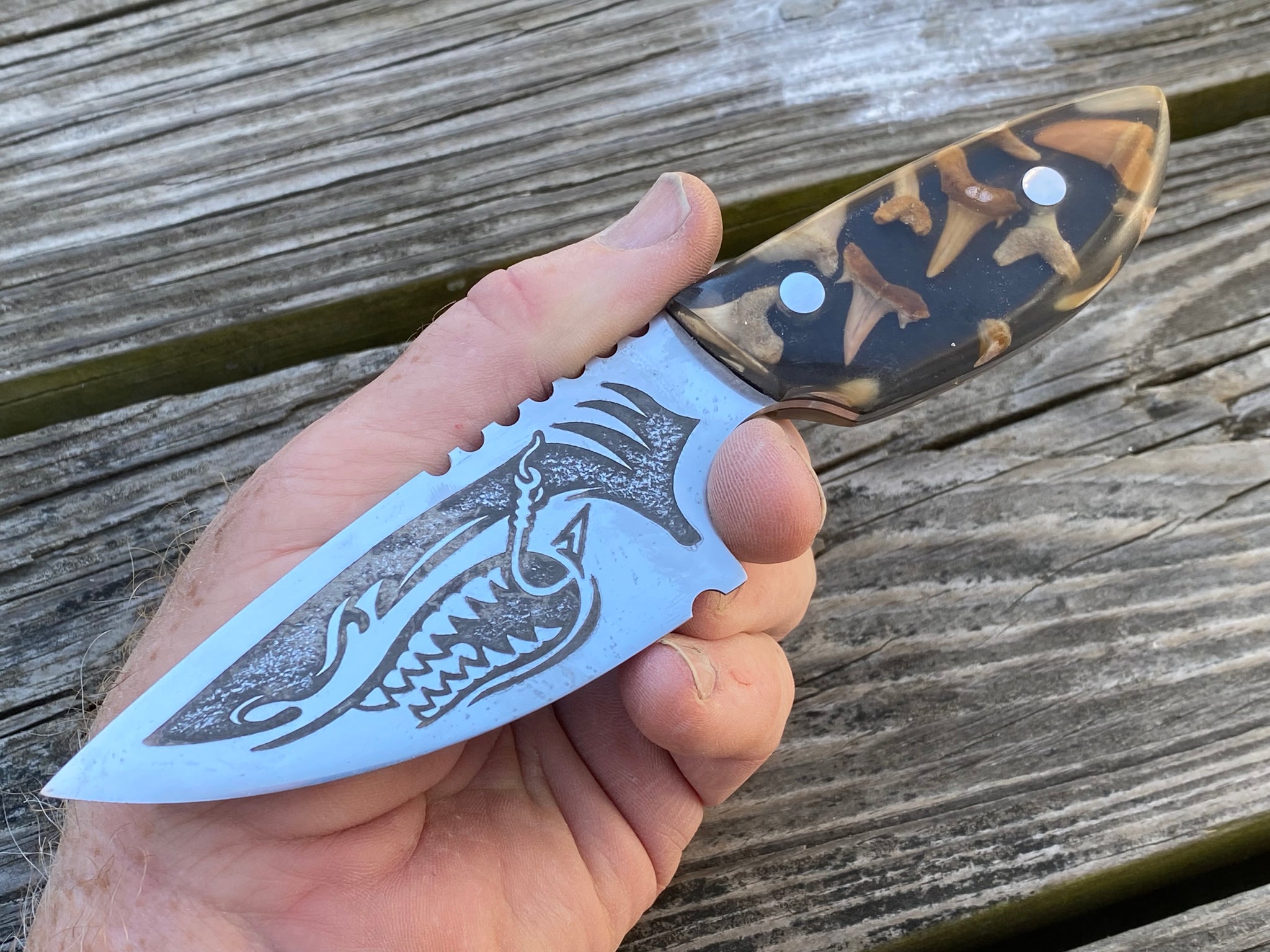 Shark Knife with fossil shark teeth cast handles black liner – Berg  Knifemaking
