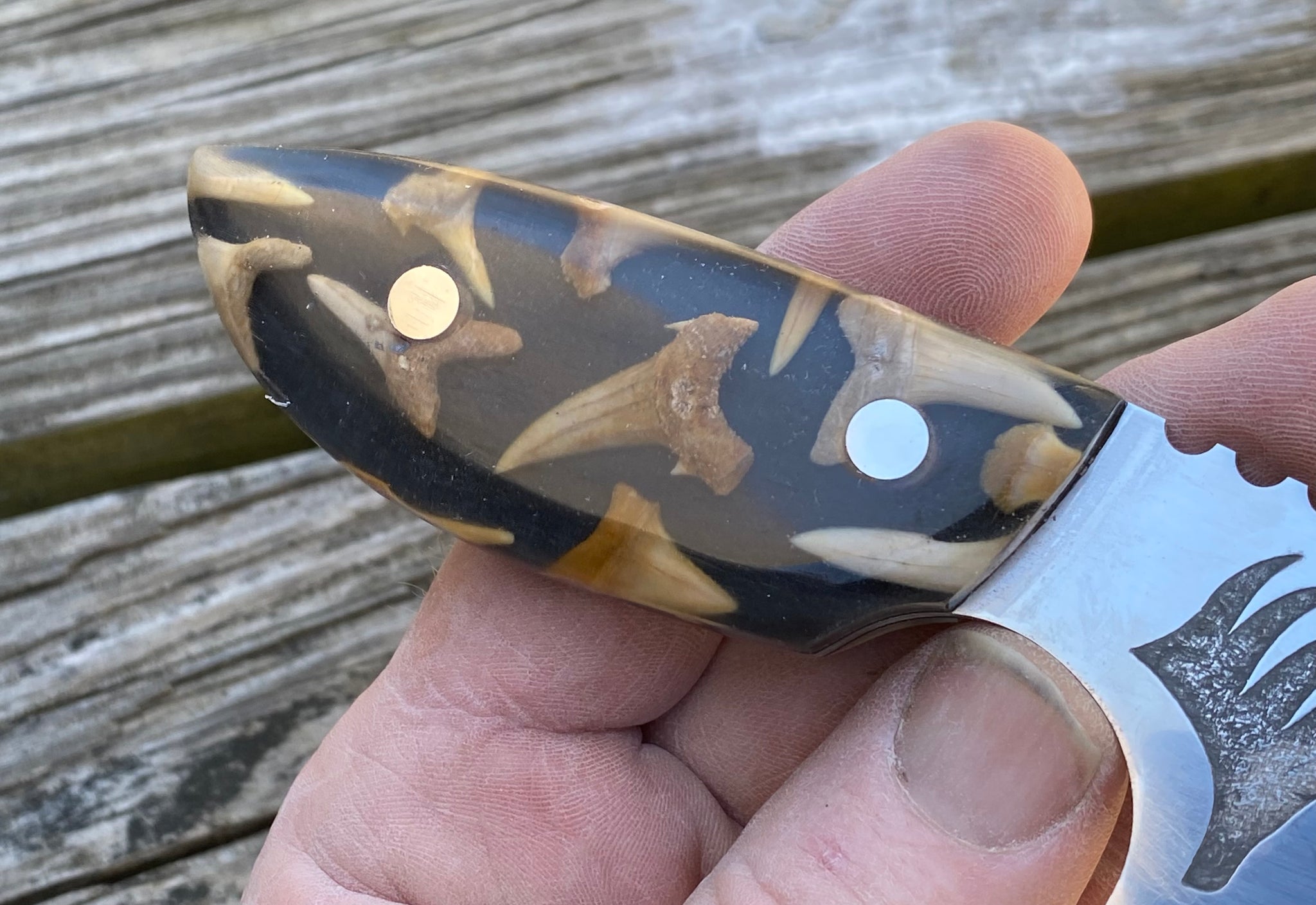 Shark Knife with fossil shark teeth cast handles – Berg Knifemaking